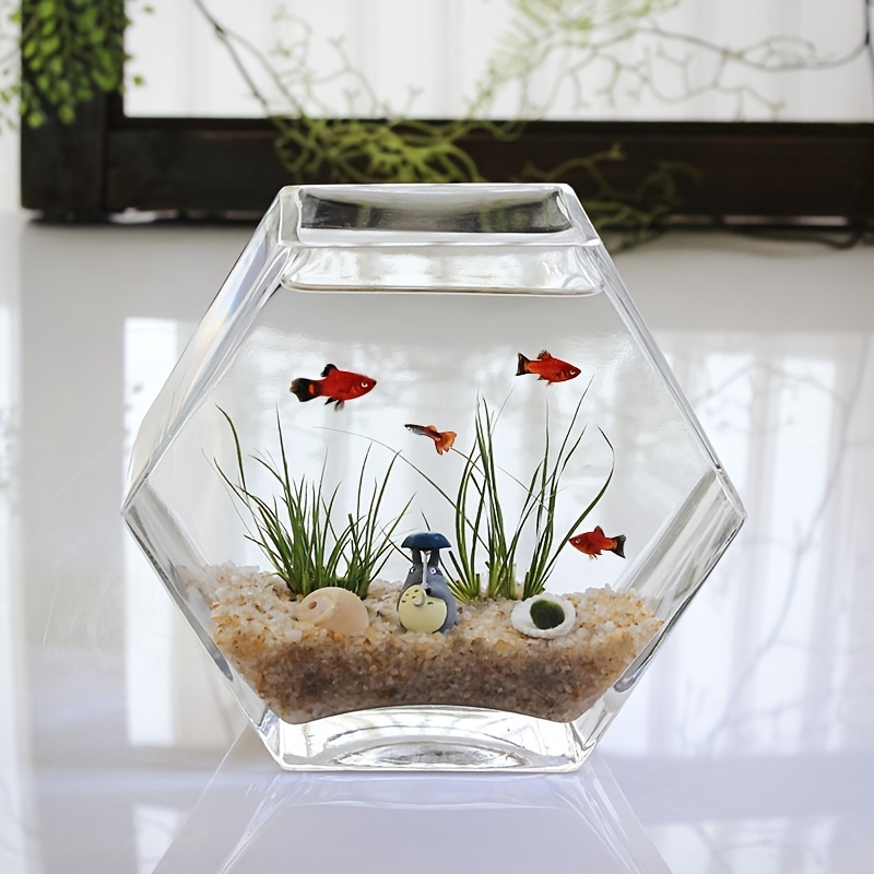 Personalized Glass Fish Bowl A Stylish Unique Way Brighten - Temu