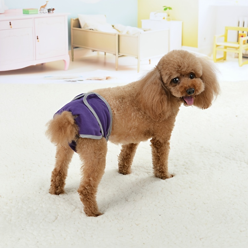 Pet pants for on sale dogs