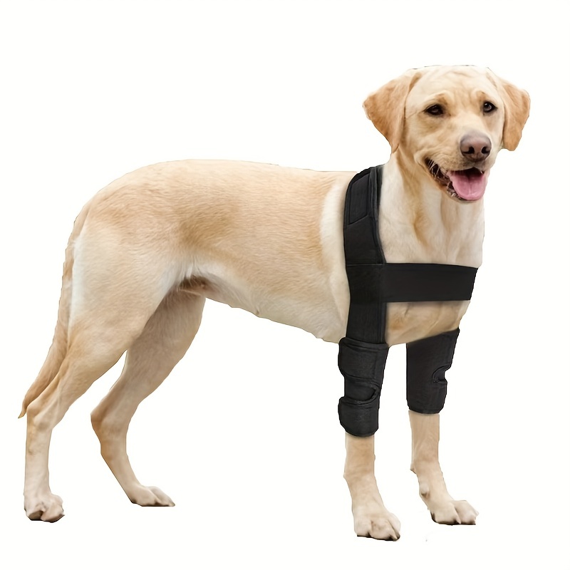 Protecteur De Coude D'articulation De Jambe De Chien Pour - Temu