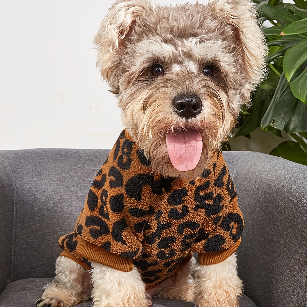 cheetah print dog sweater