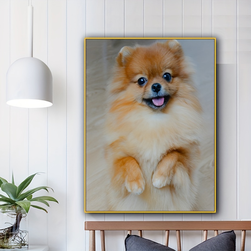 Dog Accessories Decor  It's Not A Home Without A Pomeranian - Temu