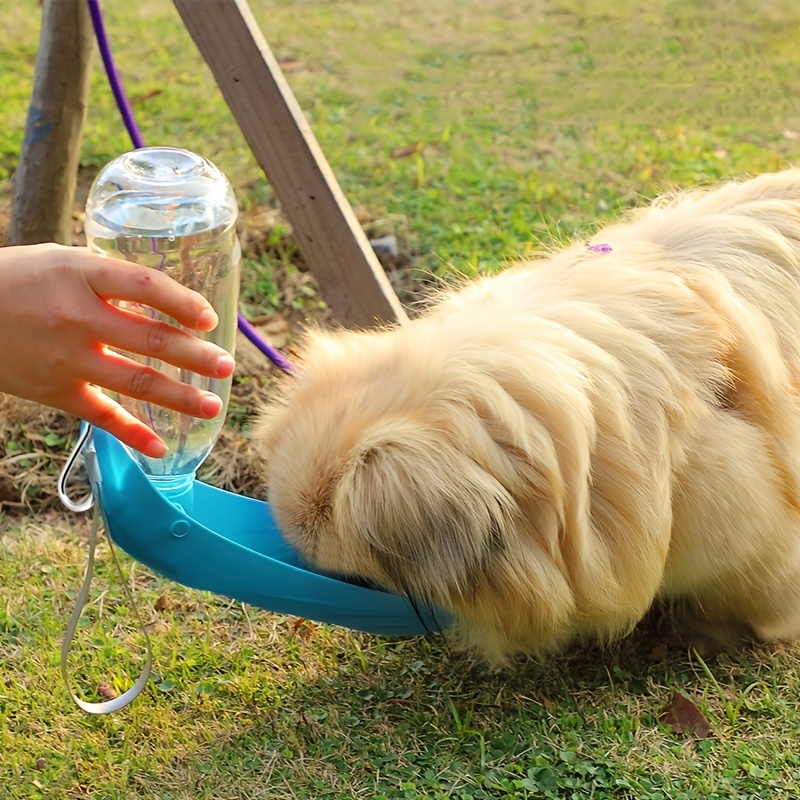 Ciotola Portatile Acqua Cani Dispenser Acqua Cani A Prova - Temu Italy