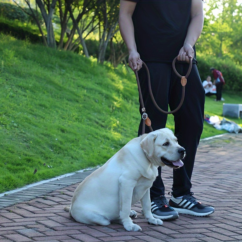 Outdoor Training Leash for Dogs, Strong Traction and Control