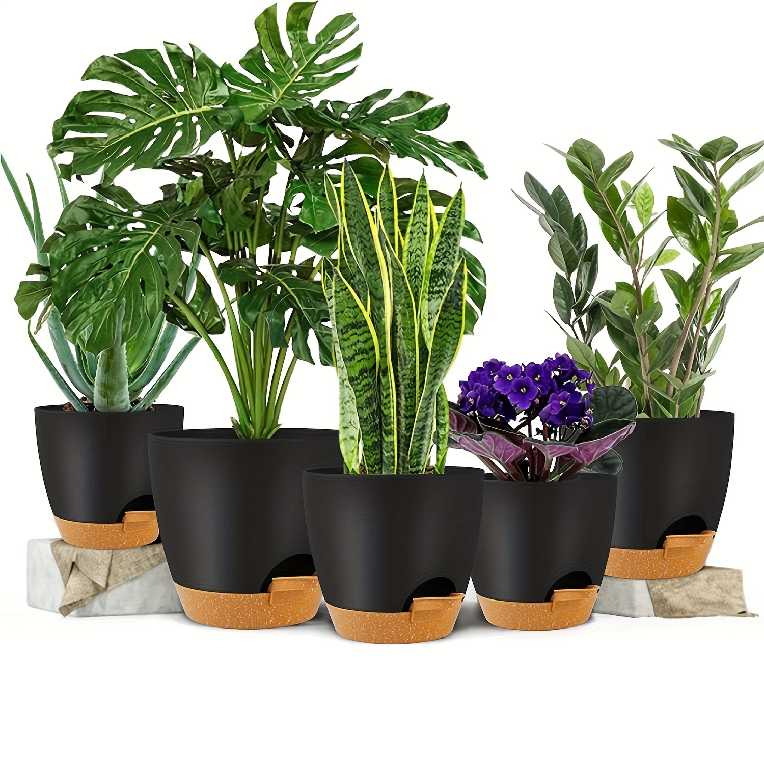 Pots de fleurs en forme de tortue, décoration pour pépinière, plantes  vertes succulentes - AliExpress