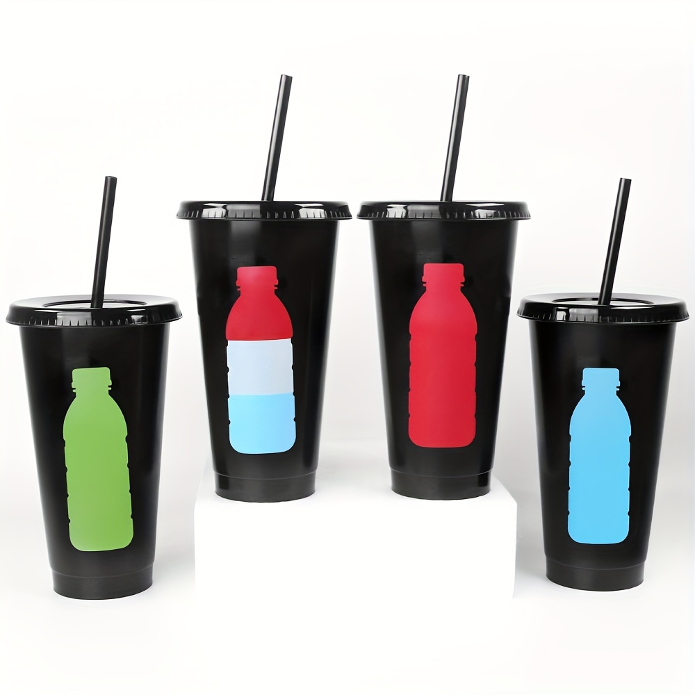 710ml Drinkware Tumbler with Straw and Lid, Double Layer Reusable