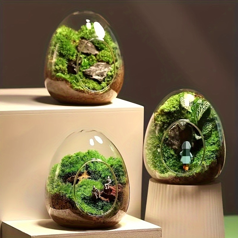 Glass Cloche Terrarium Planter/ Small Bell Jar / DIY Terrarium Kit / Easy  Houseplant