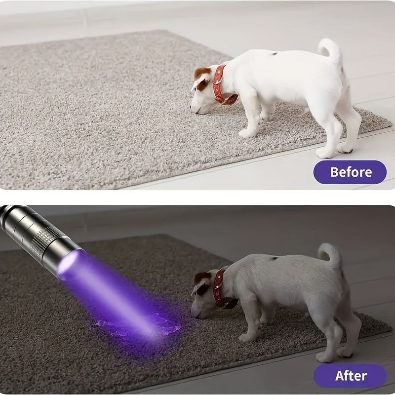  Lighting EVER Linterna de luz negra, pequeñas luces UV de 395  nm, detector de luz ultravioleta portátil para bolígrafos de tinta  invisible, manchas de orina de perros y gatos, pilas AAA