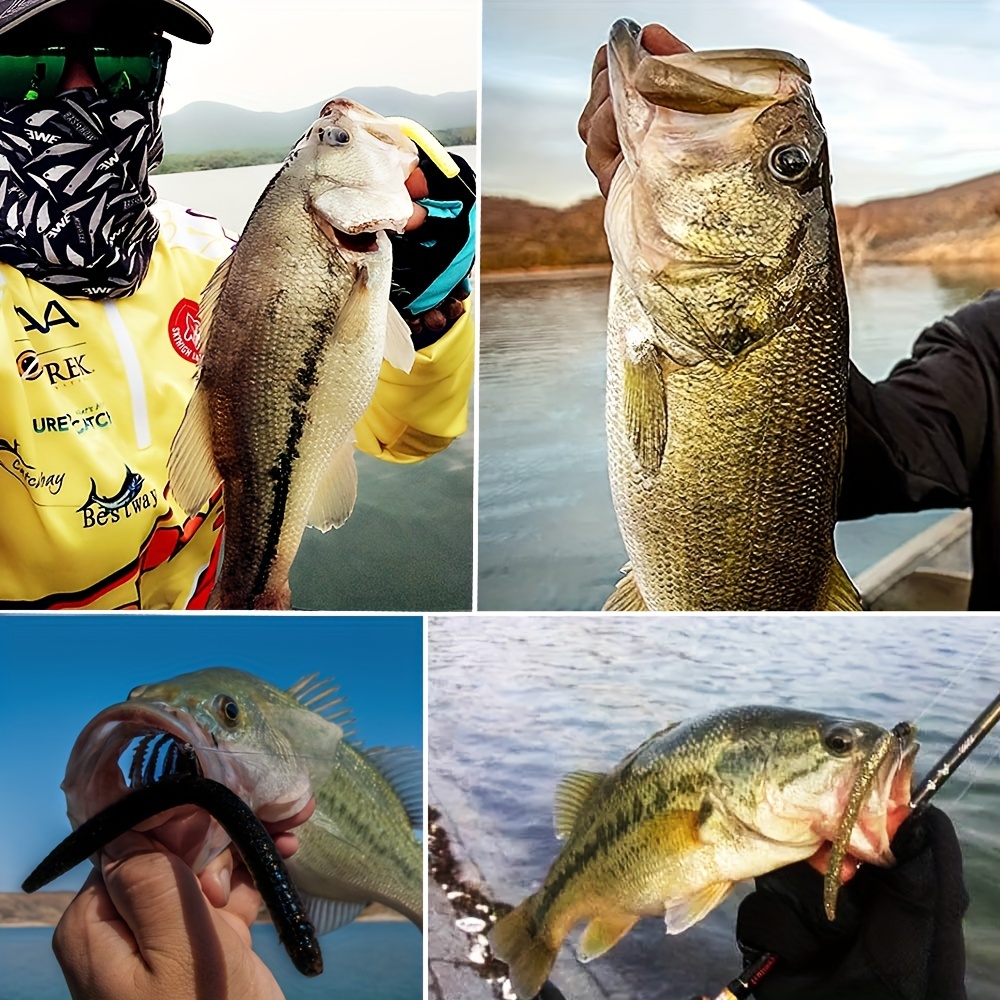 Bass Fishing Wacky Worm Kit Soft Plastic Lures With Wacky - Temu