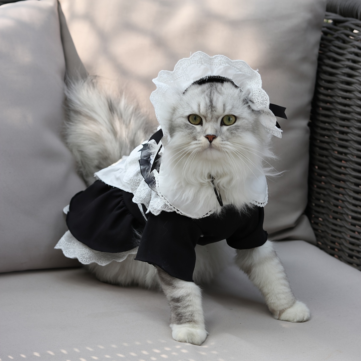 Little Princess Cat Dress & Hat Set, Cat Clothes