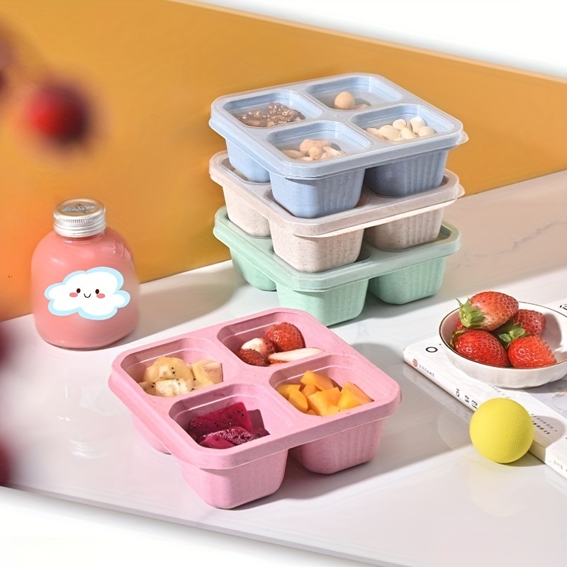 4 Pcs 2-Compartment Container Kitchen Storage Containers Picnic