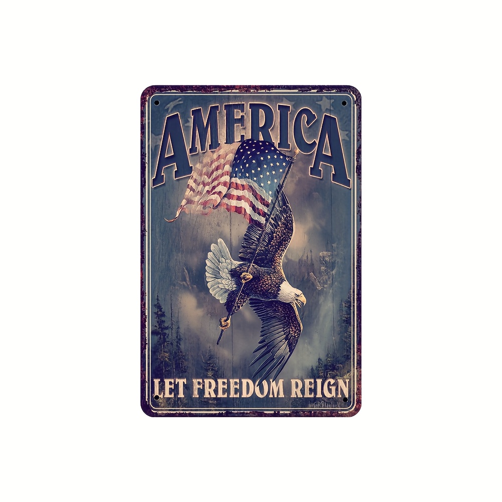Targa In Metallo Vintage 'The Evolution Of American Freedom' 15x20 Cm | Insegna Retrò Per Parete Da Bar, Garage, Ufficio - 2