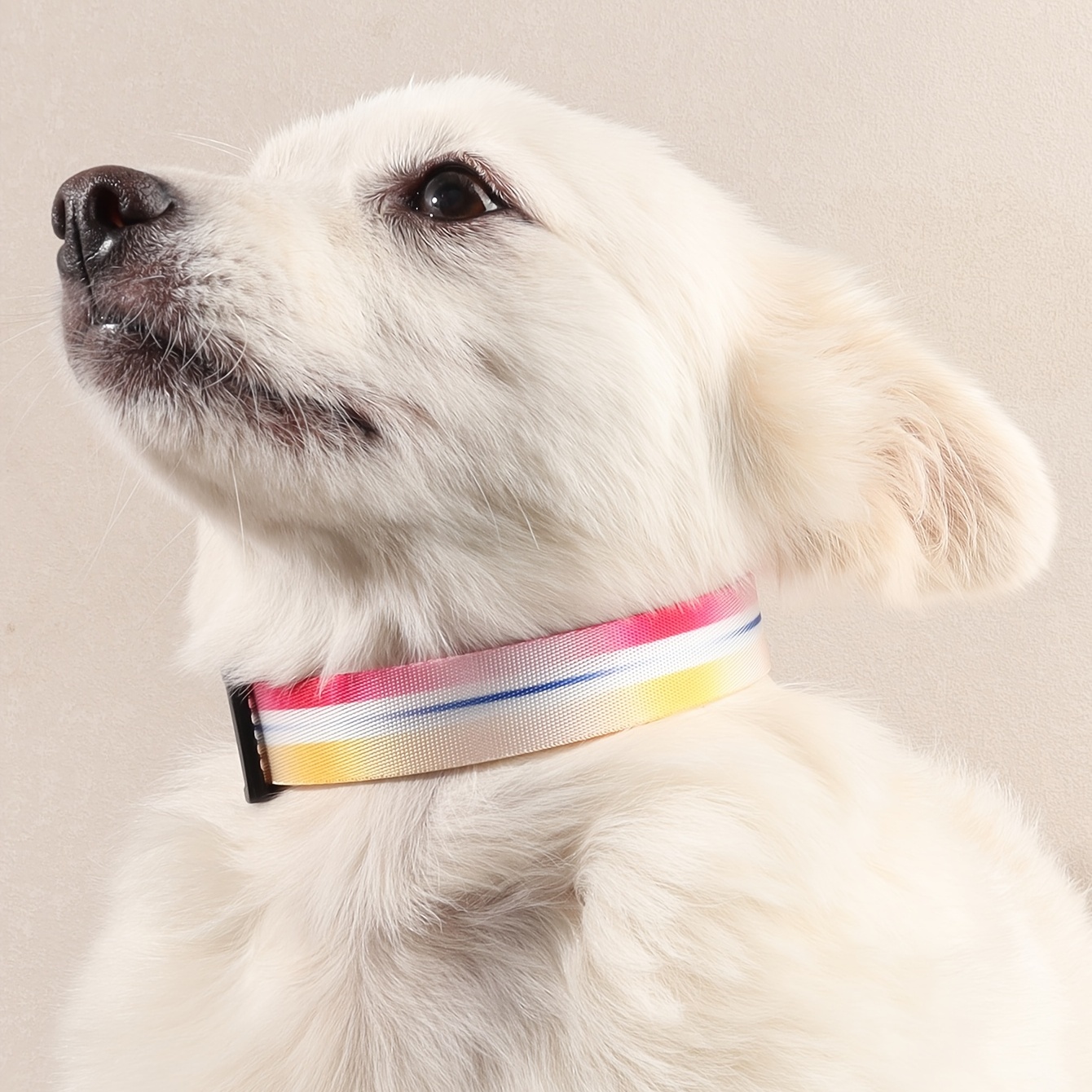 Small/medium pet collar