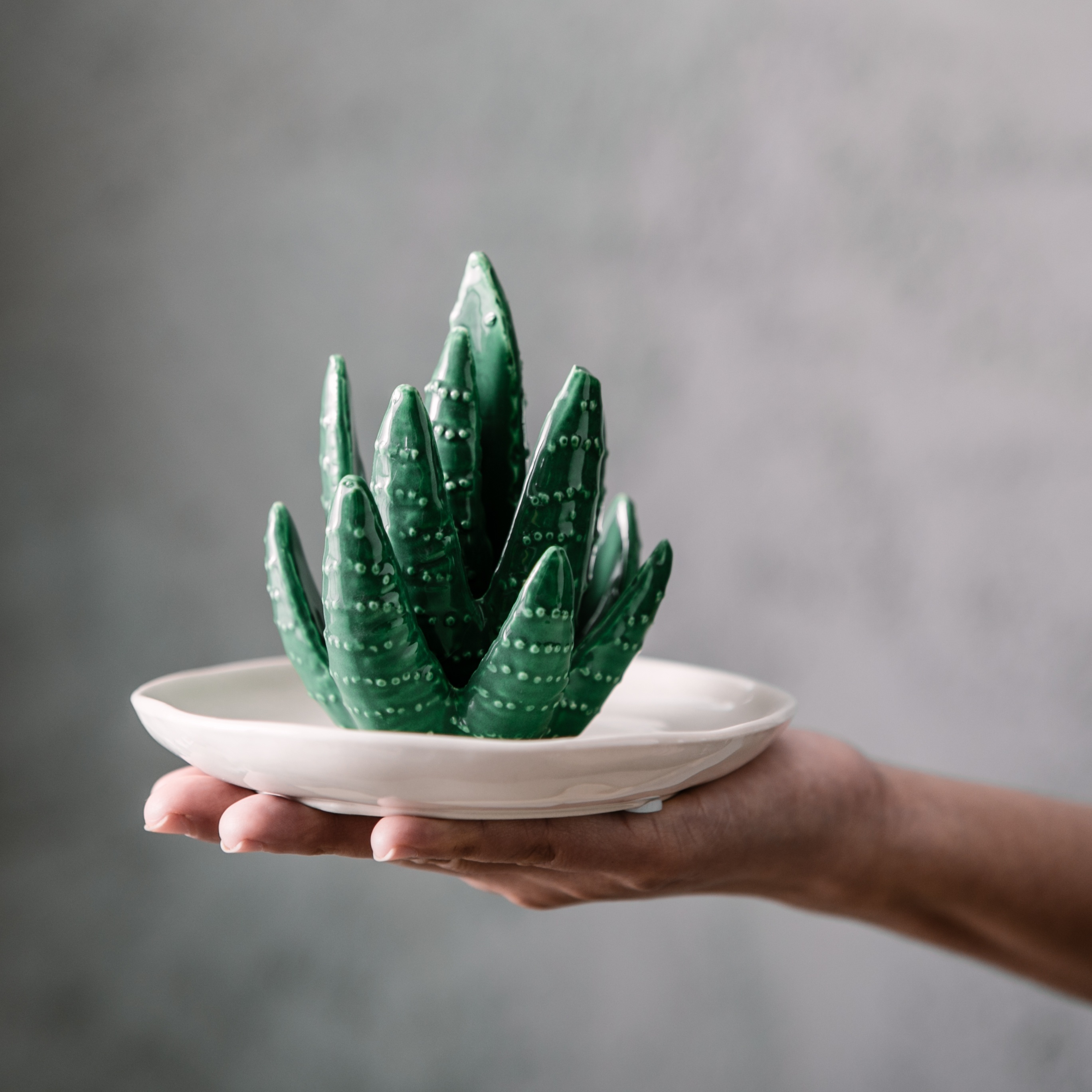 Ceramic Ring Jewelry Holder, Decor Dish Organizer, Cactus Ring Holder, Home  Decor, Christmas Gift, New Year Gift, Gift For Man, Gift For Woman - Temu