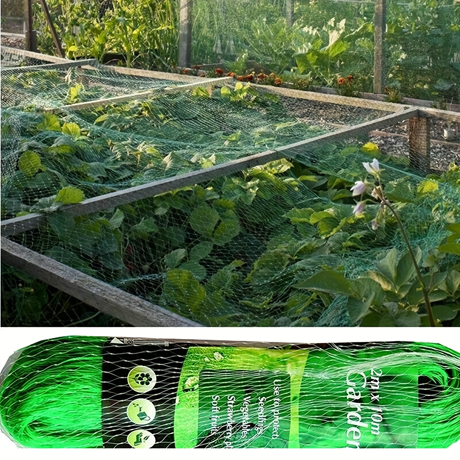 1pc Filet Anti oiseaux Vert Protéger Plantes Légumières - Temu Belgium