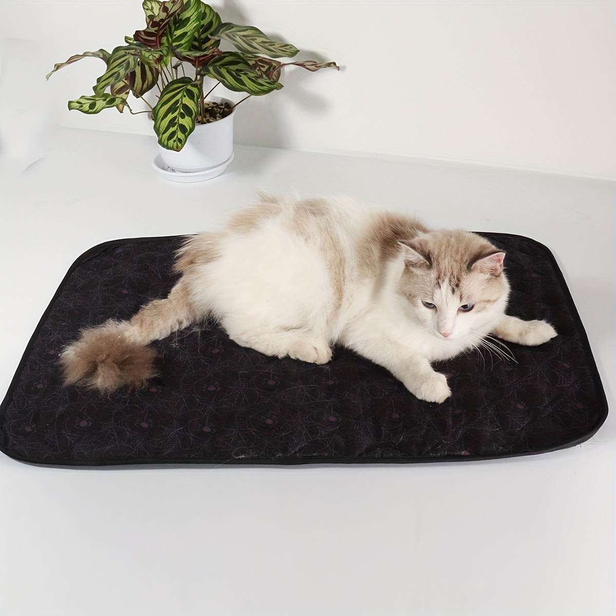 Double Layer Waterproof Cat Litter Mat Non slip Leak Proof - Temu