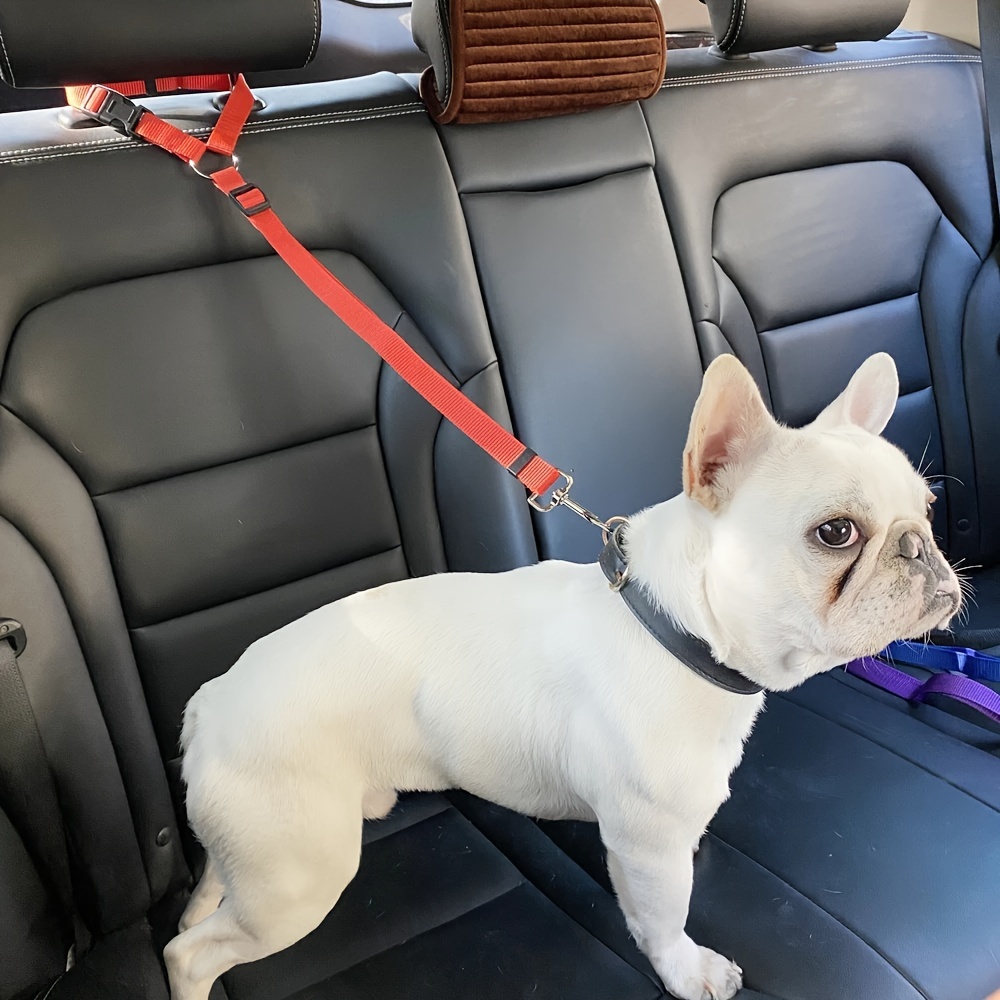Cinturón de seguridad para mascotas