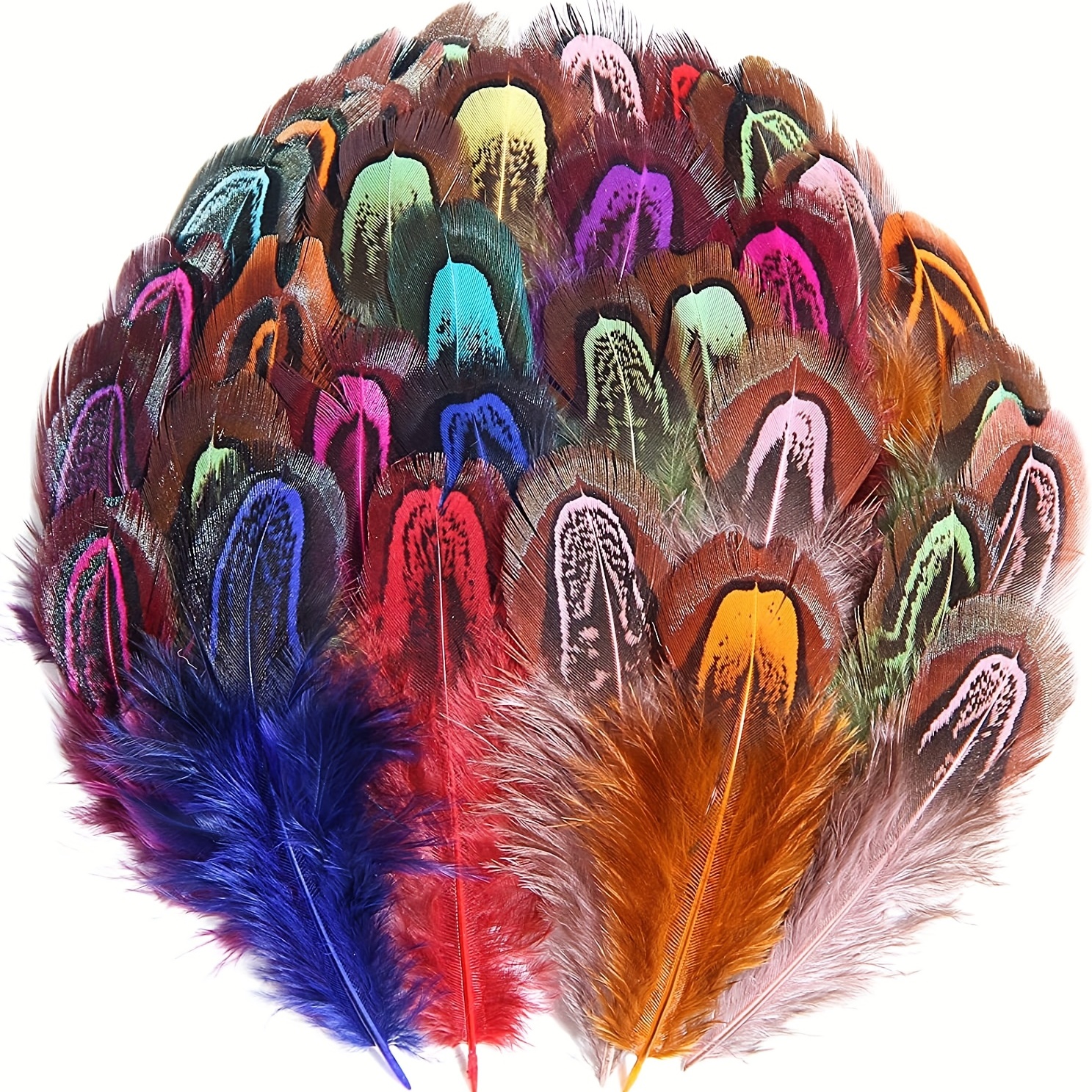 Peacock Feathers Crafts Plumes DIY Headdress Clothes Dream Catcher 50pcs  Lot New