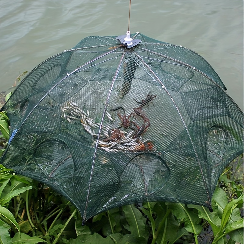 Collapsible Fishing Net Portable Fish Minnow Crawfish Crab - Temu Canada