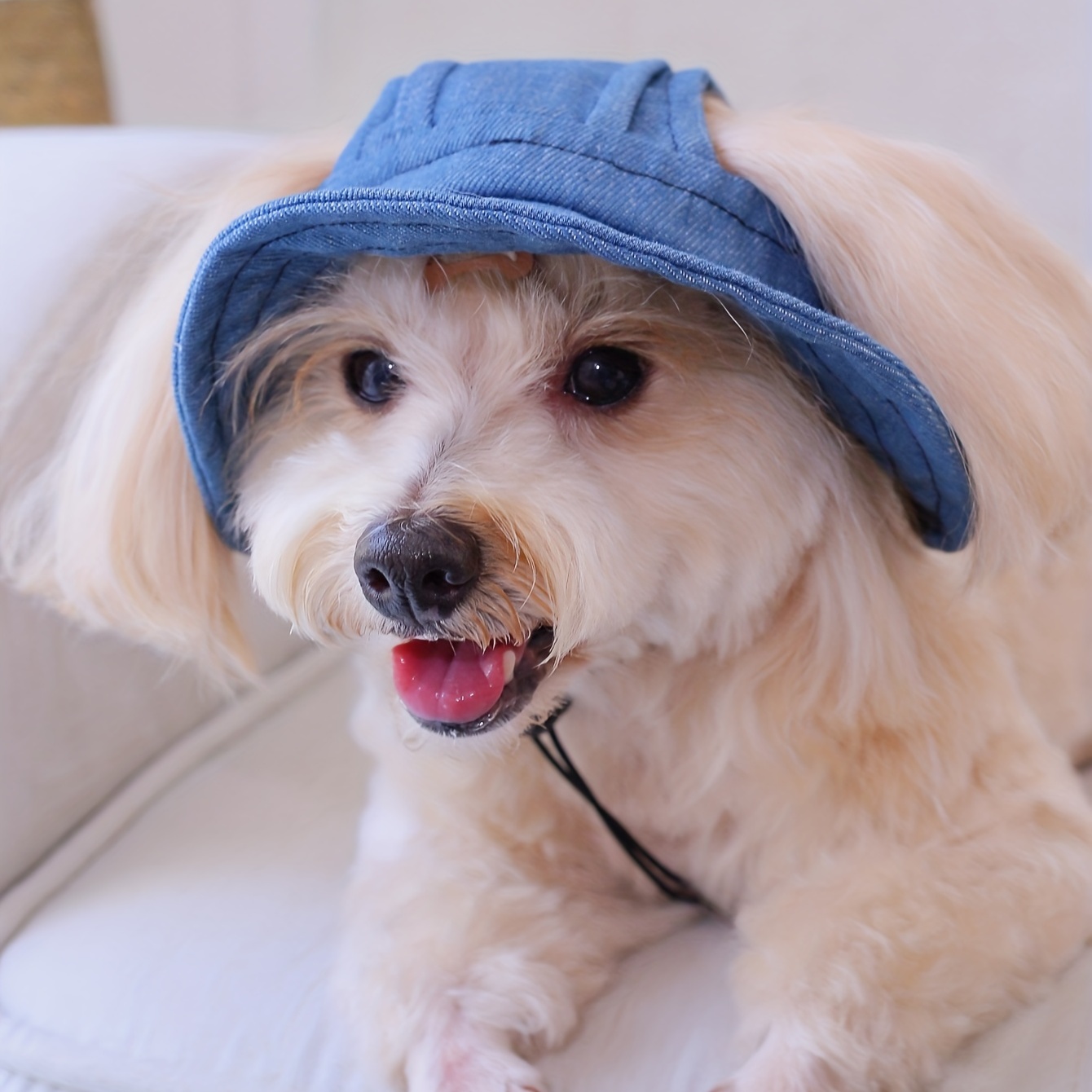 Pet Dog Outdoor Cap Cool Denim Hat - Summer Sun Protection Cap for Dog  Doggy (Small)