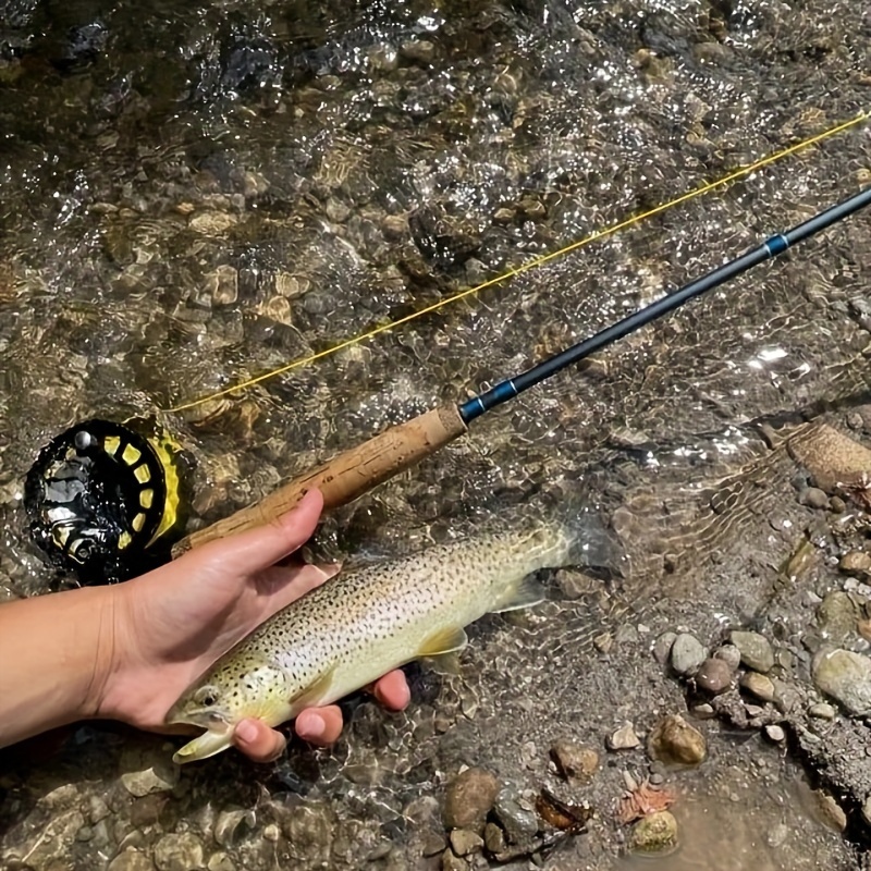 Bionic Fly Fishing Lure: Bead Head Fast Sinking Nymph Scud - Temu