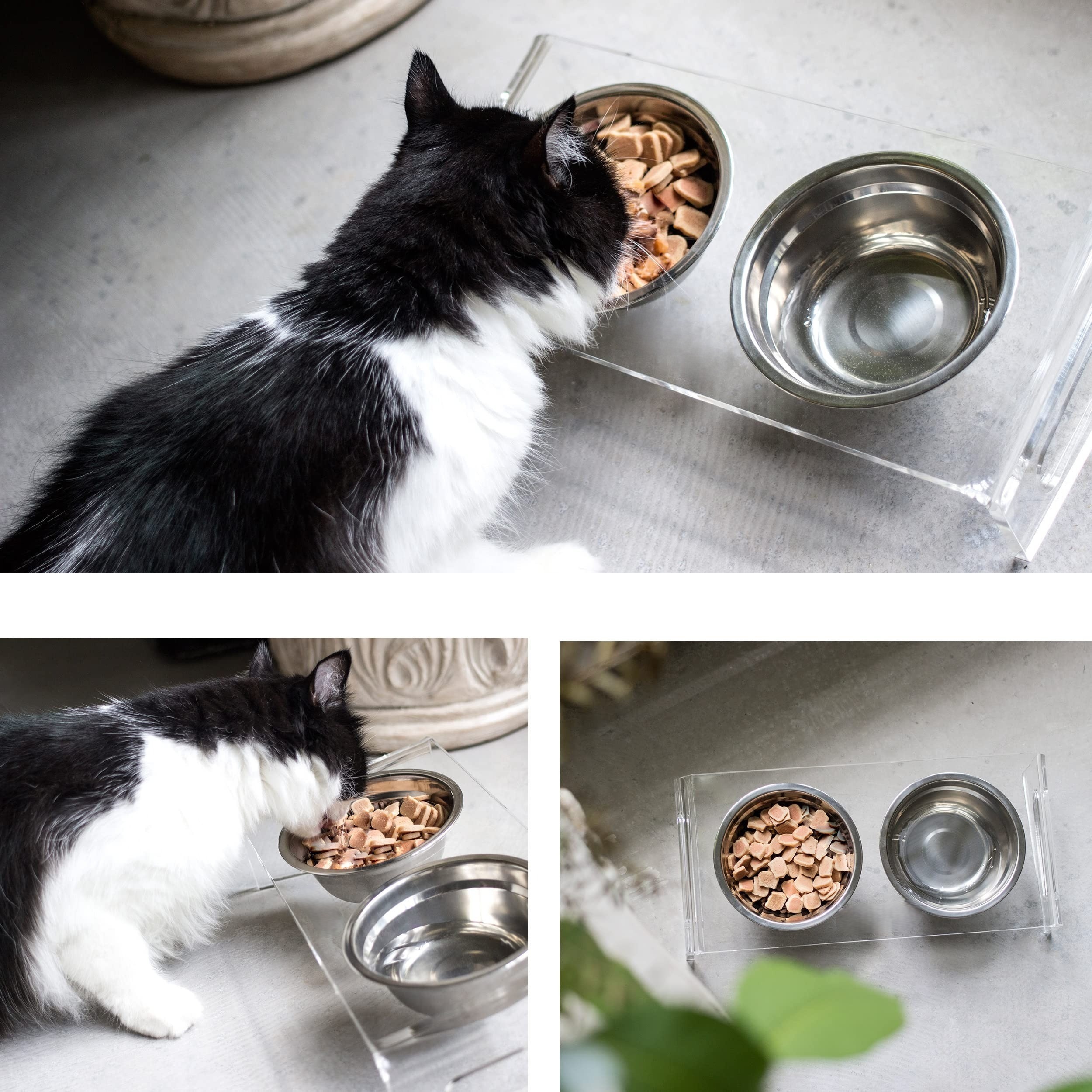 Acrylic Elevated Pet Stand for Cat and Dog with Bowls, Raised Food