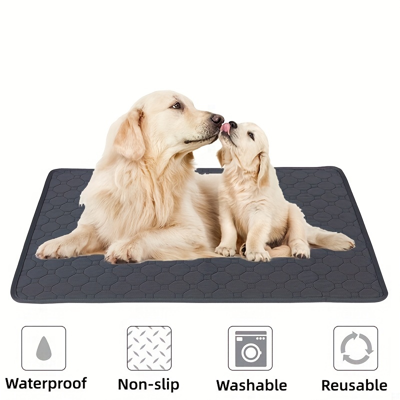 2 Pack Washable Pee Pads for Dogs, 48 x 60 Dog Pee Pads Extra Large,  Non-Slip Dog Training Pads Puppy Pee Pads Reusable Potty Pads Dog Pads for  Incontinence, Playpen, Crate 