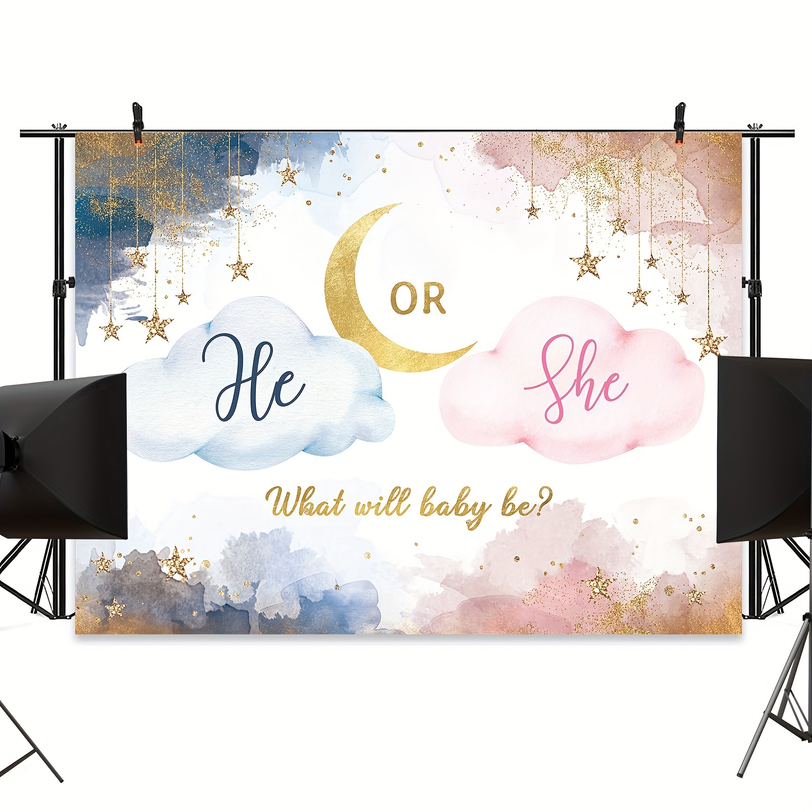 Gender Reveal Backdrop 7wx5h Boy Girl Cloud Baby - Temu