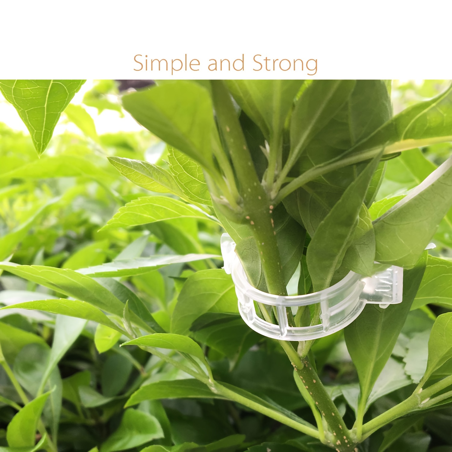 30/150pcs Tomato Clips, Plastic Trellis Clips, Plant Support Clips, Grape Vine Tomato Vine Vegetables Plants Garden Support Clips to Grow Upright Makes Plants Healthier