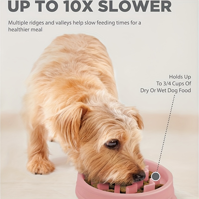 Fun Slow Feeder Anti Choke Dog Food Bowl Nonslip Pet Eat Slow
