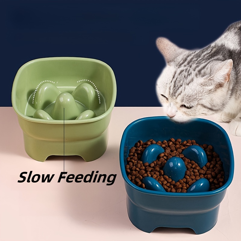 Slow Feeder Cat Bowl With Stand Anti choking Pet Puzzle Food - Temu