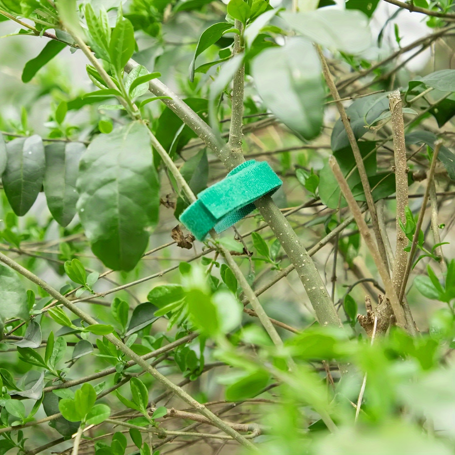 Garden Hook ＆ Loop Plant Cable Ties Adjustable Garden Nylon - Temu