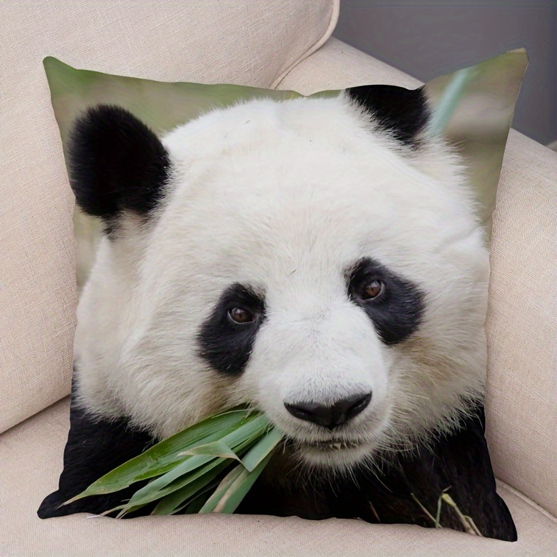 Cute Panda Daily Realistic Photo Print Pillow Case Quickly - Temu