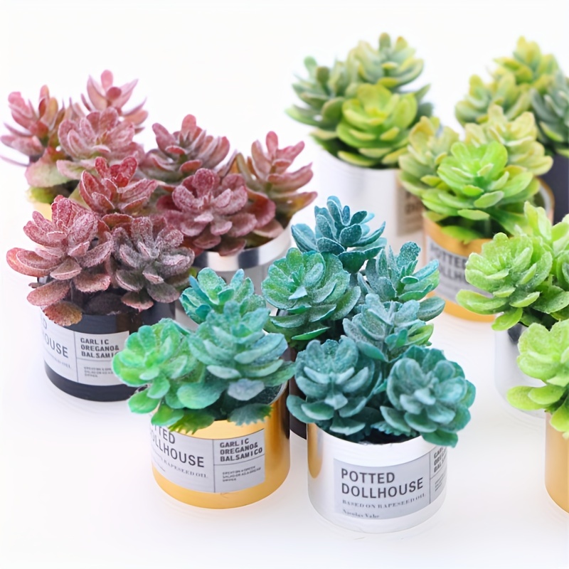 How to Make a Mini Succulent Garden for a Portable Potted Display