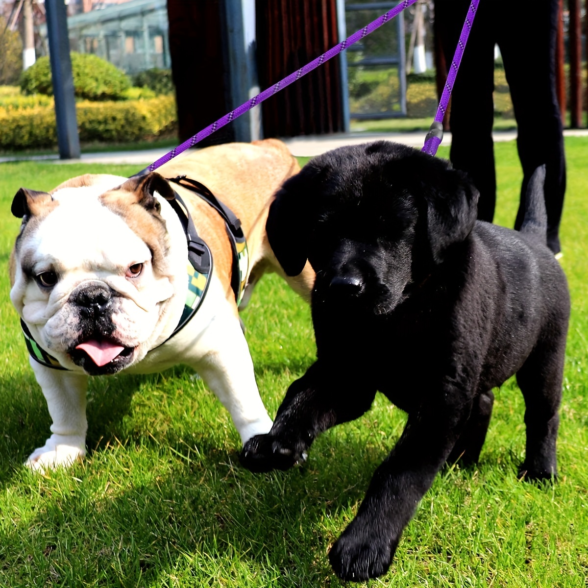 The 7 Best Double Dog Leashes for Walking Two Dogs at Once