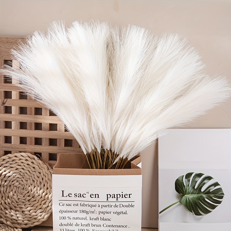 100 Pezzi Erba Della Pampas Essiccata Decorative 42CM Bouquet Fiori Secchi  Marrone Erba di Pampa Bianca Phragmites Reed Bunny Tail Grass Feste  Decorazioni Boho Casa Soggiorno Matrimonio Tavolo : : Casa e