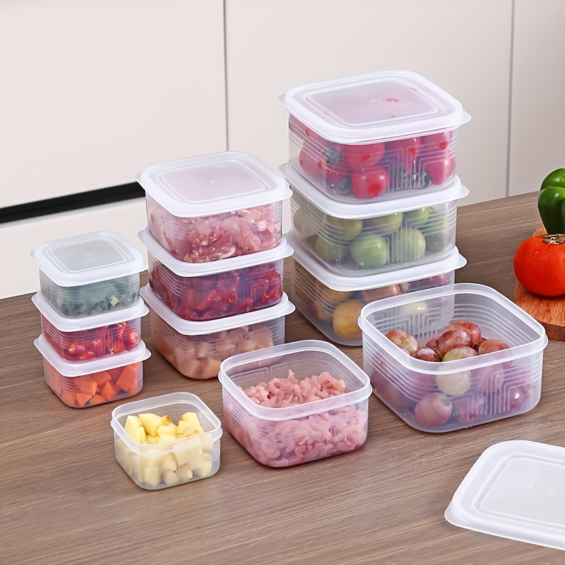 Frozen Meat Box, Transparent Fresh-keeping Box, Refrigerator Fruit  Vegetable Crisper, Dumpling Meat Eggs Ginger Garlic Green Onion Food  Storage Containers, Home Kitchen Utensil - Temu