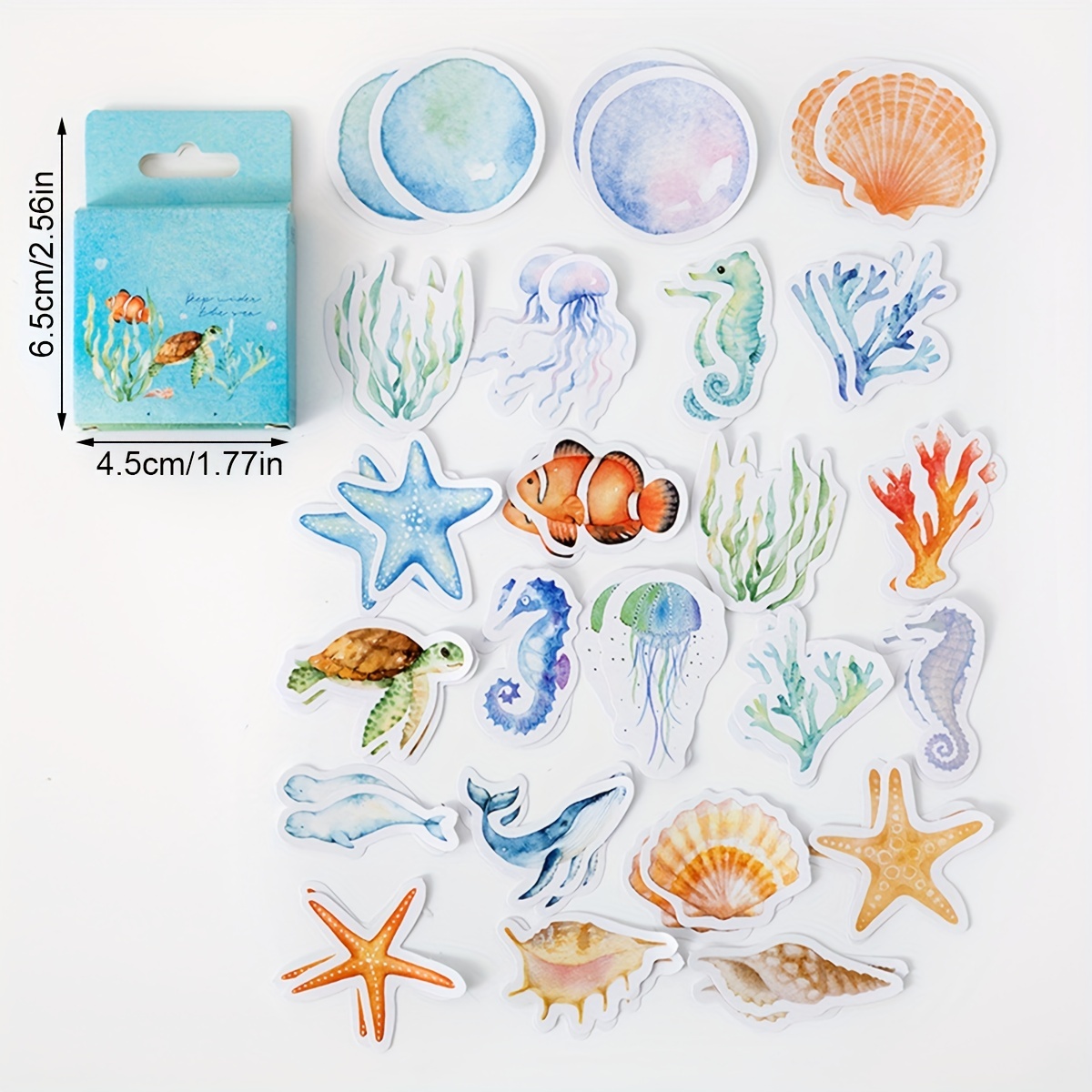 Kids Sea Shell Painting Kit - Arts & Crafts Gifts for Boys and Girls - Craft  Activities Kits - Creative Art Activity Gift