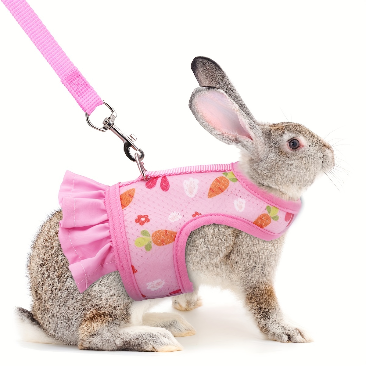 Pet Chest Back Set Rabbit Harness Leash Walking Escape Proof - Temu