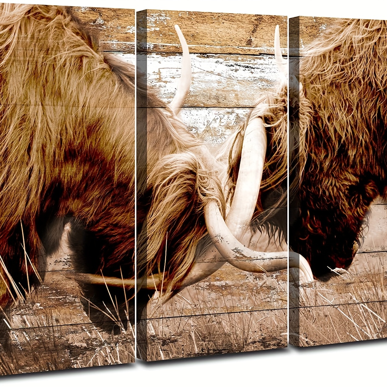 Highland Cow Print Removable Wallpaper Longhorn Wall Art Bedroom