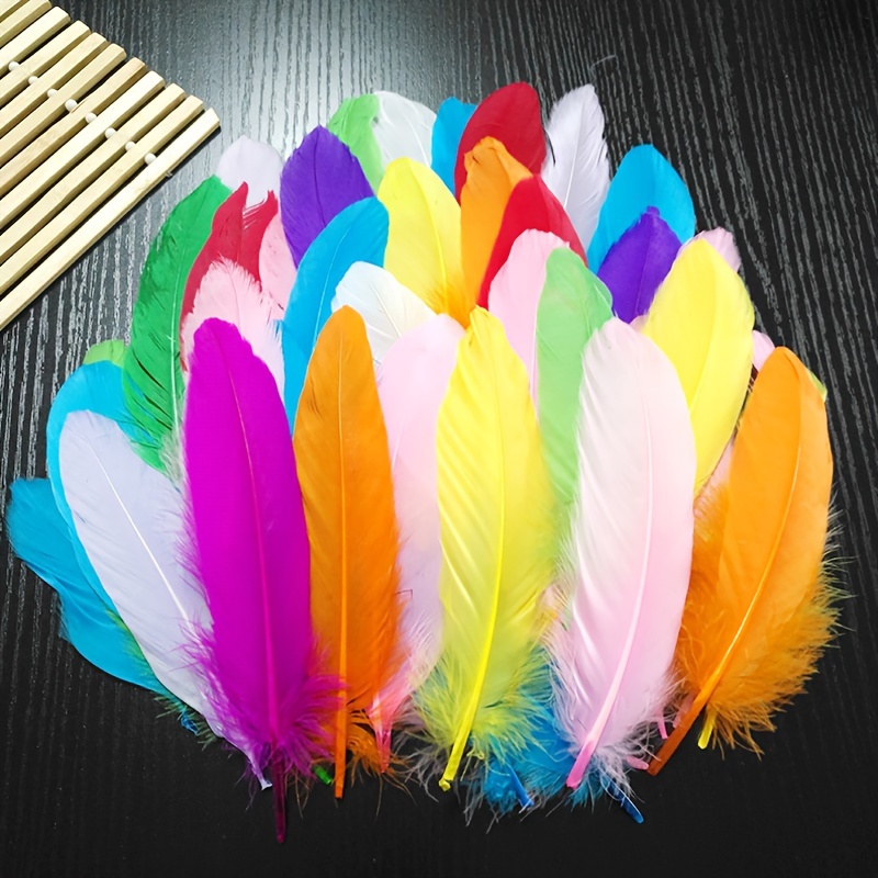 Color Colorful Feather Goose Feathers Home Decoration Costume