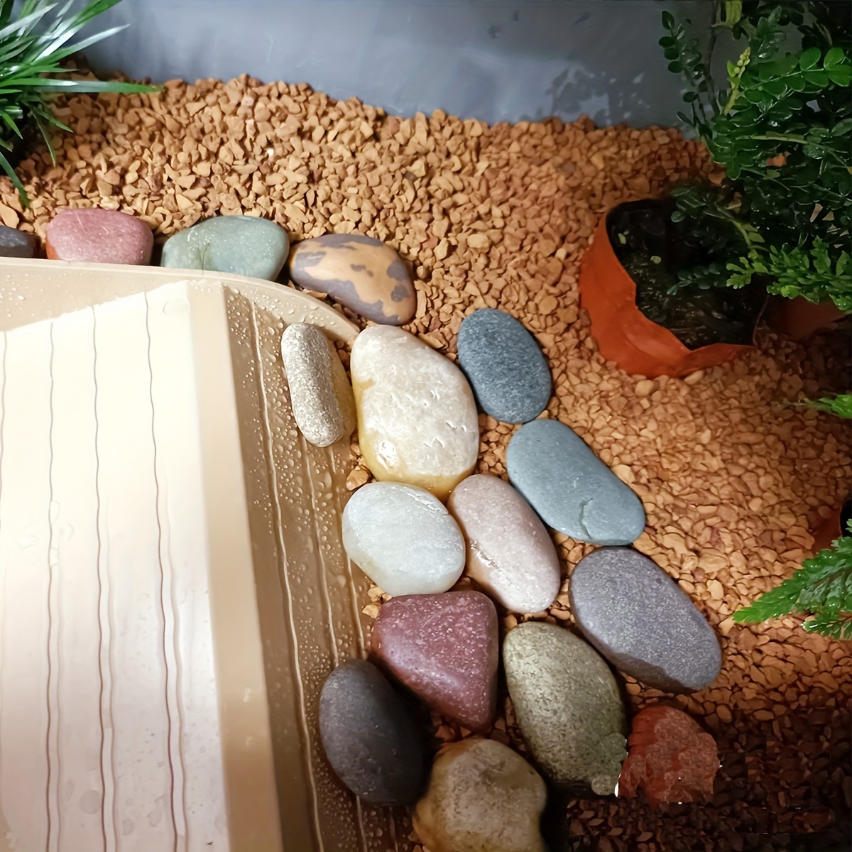 Guijarros de piedras decorativas para suculentas, bonsái, jarrón