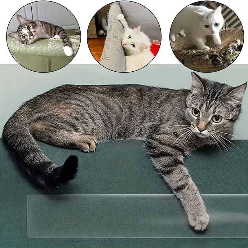 Kratzschutz für Katze & Hund, für Tür Möbel Couch - Anti Kratz Folie –  Lifestyle-Webshop