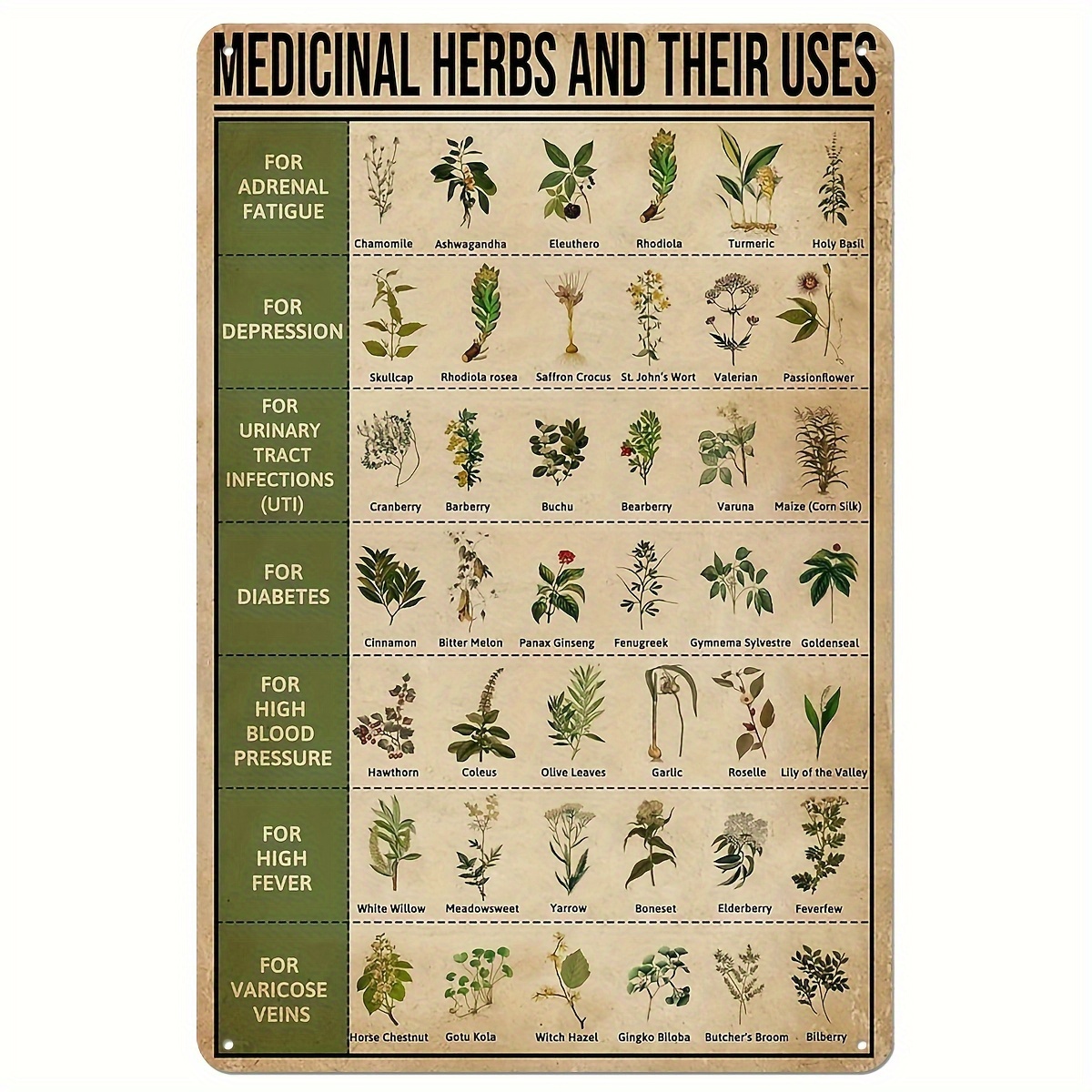 

1pc Metal Sign Medicinal Herbs And Their Uses Posters Metal Signs Wall Decor Room Decor 8x12 Inches