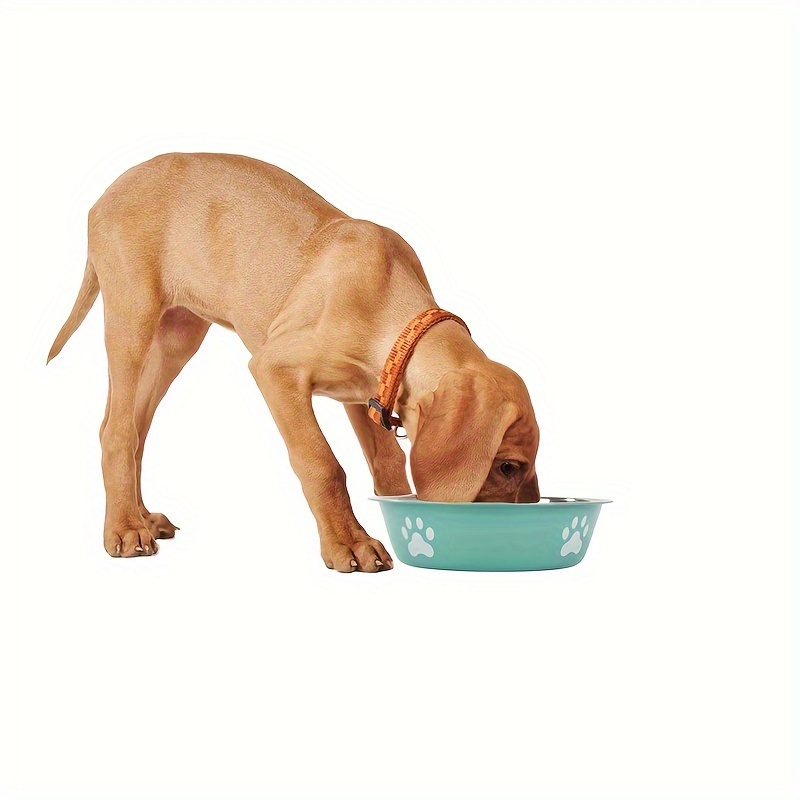 Plastic Paw Print Dog Bowl, Pet Dog Food Bowl Water Bowl, Anti-overturning  Dog Feeding And Drinking Basin - Temu