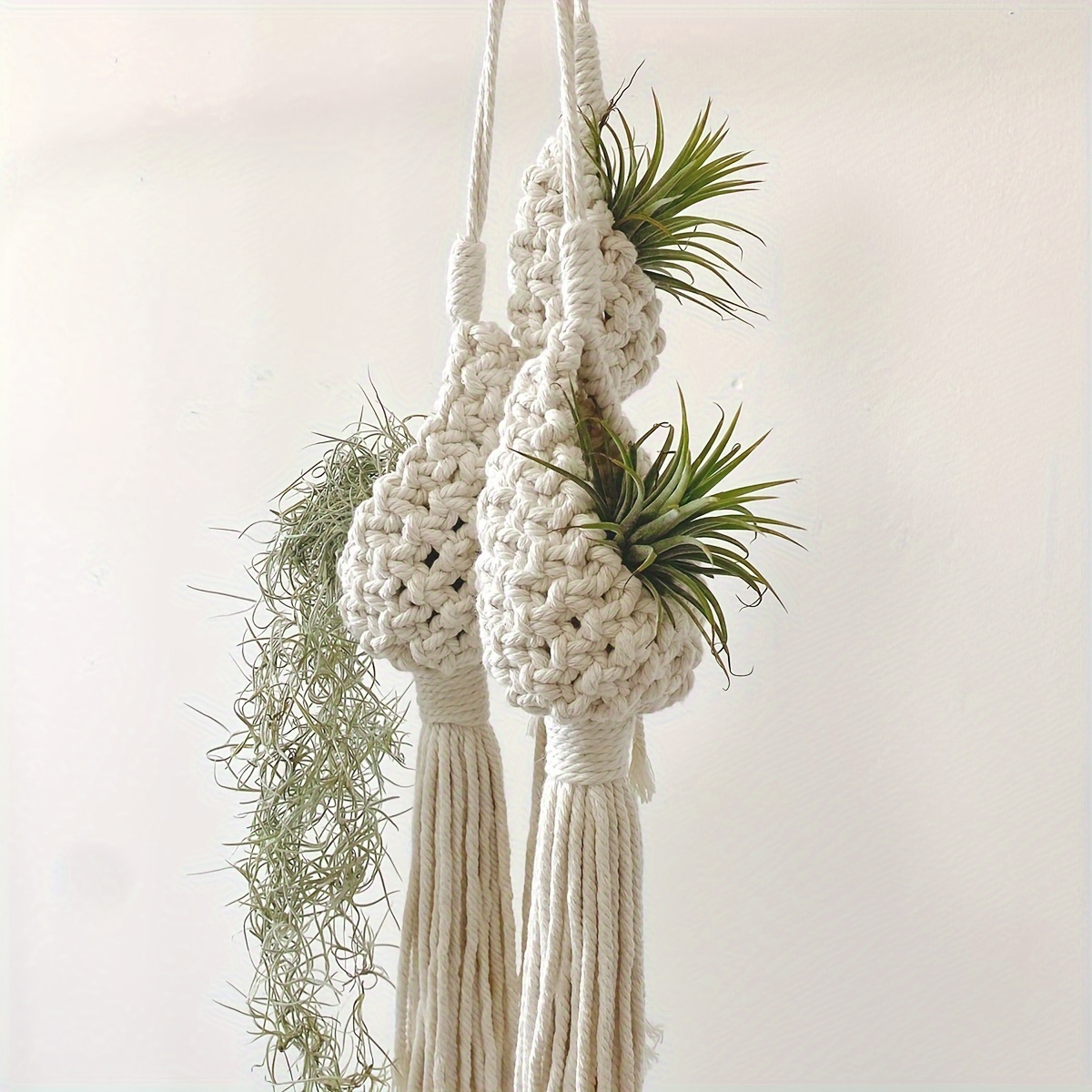 Bohemian Decor Air Plant Hanger Indoor Macrame Wall Holder