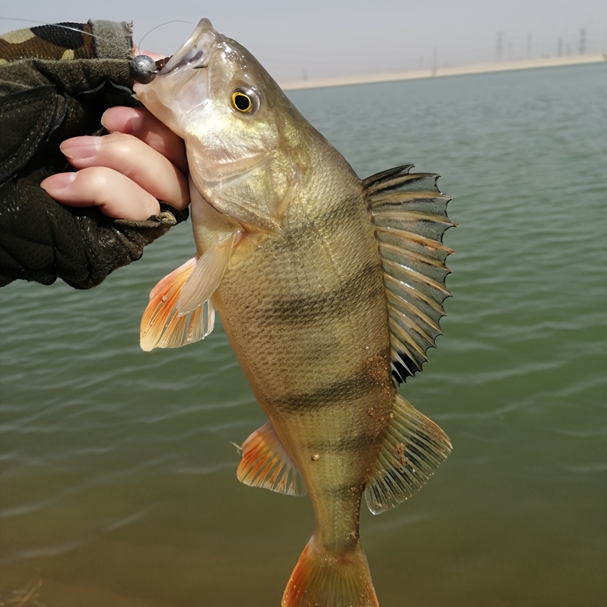 Bite Resistant Soft Fishing Lure Wacky Worms Freshwater - Temu New