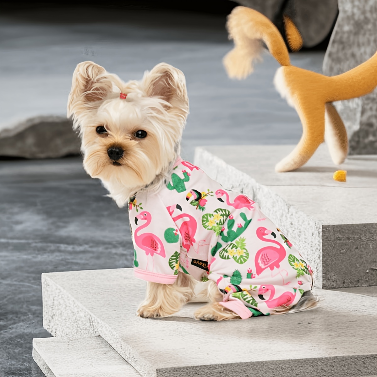 Dog Pajamas for Small Dogs Girl Boy Puppy Pjs Jammies 4 Leg Dog Clothes for  Chihuahua Yorkie Spring Summer Onesies Jumpsuit Clothing for Pet Dogs Male