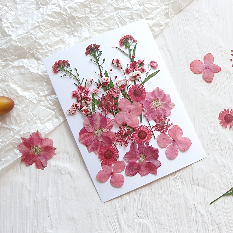 Organic Light Pink Roses on Stems Pink Dried Roses for DIY Arts Crafts  Resin Jewellery Cooking Gin Tonic Cake Decor LIMITED QUANTITY -  Sweden