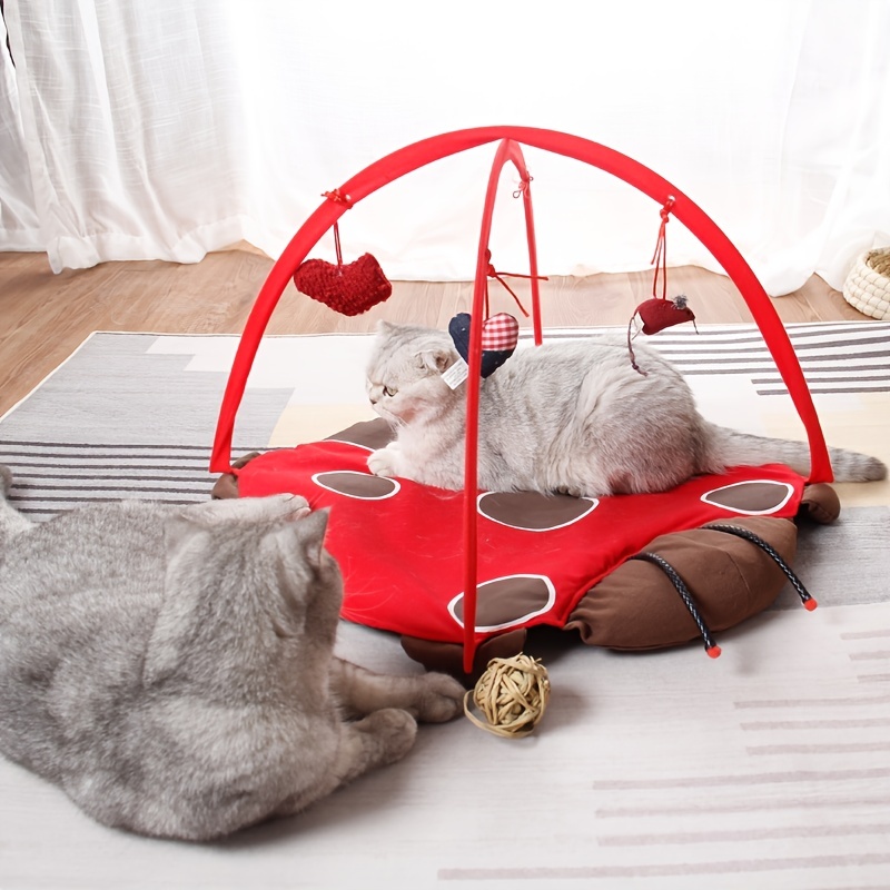 pet cat playing bed kitten exercise tent cat nest puppy training bed pet cat supplies cat teaser toy details 2