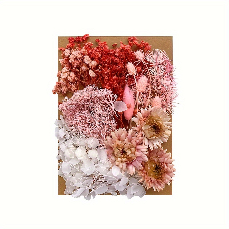 Dried Flowers For Resin Pressed Flowers Dry Flowers Eternal - Temu